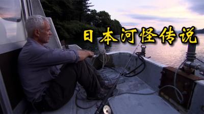 河中巨怪：杰叔前往东京寻找传说中的地震鲶！-原创解说文案