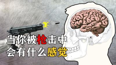 人被枪击中以后，究竟会有什么感觉？过程可能颠覆你的想象-原创解说文案