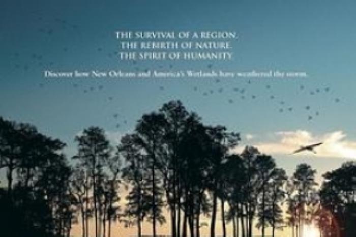 [原创][吾爱原创]惊悚电影《沉默的海湾》解说文案-[原创首发]-吾爱文案网