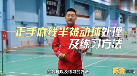 羽毛球从基础到高手世界冠军陈金教练开课-课程-网盘资源分享