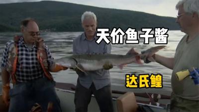 河中巨怪：三名男子垂钓是丧生黑龙江，据说水下有上千斤湖怪！-吾爱原创解说文案