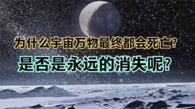 为何所有生命最终都会走向死亡，这是否代表着永远的消失？-吾爱原创解说文案