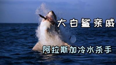 河中巨怪：巨型比目鱼，钓到它的渔民基本上都会被拉下水中！-吾爱原创解说文案