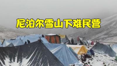 尼泊尔山下的神仙帐篷大营，几十男女睡通铺，又饿又冷挖虫草-原创解说文案