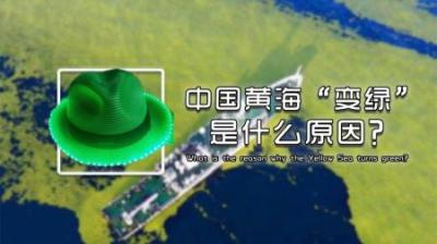 美国卫星拍下离奇一幕，黄海正在悄悄“变绿”，环境污染太严重了-原创解说文案