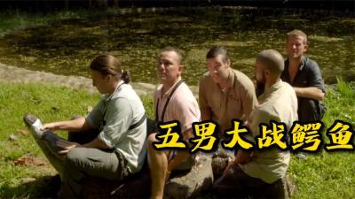 鲨鱼v鳄鱼：没想到鳄鱼们彼此竟然是用这种方法交流的！-原创解说文案