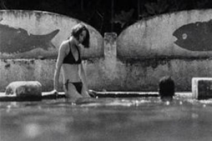 [原创][吾爱原创]惊悚灾难《寂静》电影解说文案 -[原创首发]-吾爱文案网