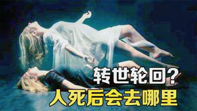 人死后会去哪里？从科学角度解释死亡的意义，你会相信吗？-原创解说文案