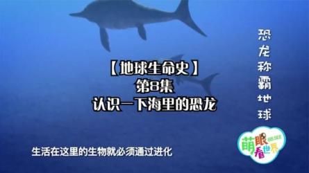 用孩子看得懂的方式，讲述地球生命史-课程-网盘资源分享