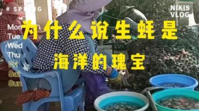 为什么说生蚝是海洋的瑰宝-原创解说文案