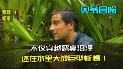 贝爷荒野求生：这次来苏门答腊火山带，贝爷带你去沼泽抓蜥蜴！-原创解说文案