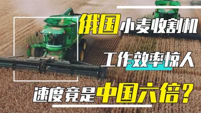 俄罗斯人是怎样收小麦的？工作效率是中国六倍，究竟如何实现的？-原创解说文案