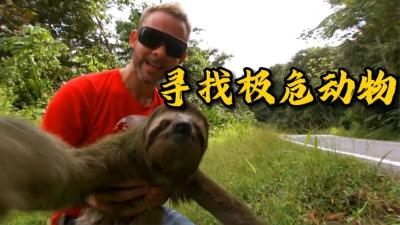 致命接触：把剧毒生物箭毒蛙被捧在手心是什么感受！-原创解说文案
