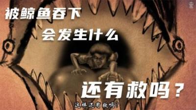 如果你不小心被鲸鱼吞掉，会发生什么？-原创解说文案