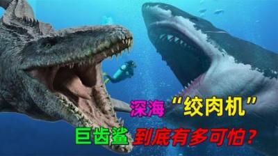 被称为“深海绞肉机”的巨齿鲨，究竟有多可怕？-原创解说文案