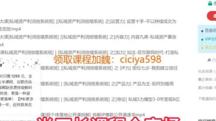 肖厂长课程全家桶，涵盖IP、流量、利润、私域、买量-课程-网盘资源分享