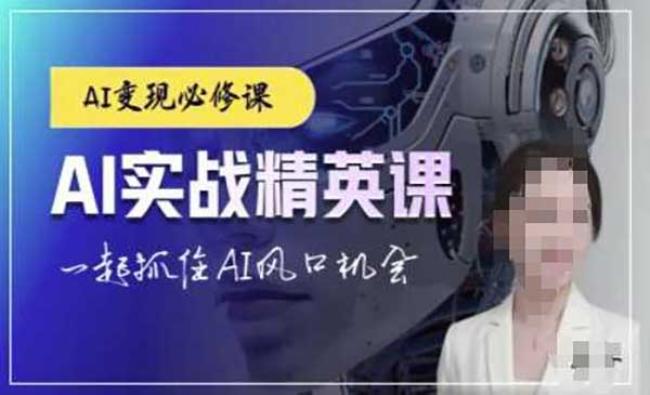 AI实战精英课[原创资源]