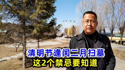 10小时工作制，一人一天要砍20吨木头，工资是公务员的好几倍-原创解说文案