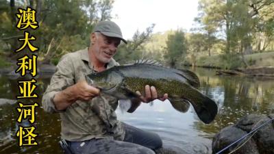 黑暗水域：澳大利亚体型最大河怪，如今再度传来袭击人类的消息！-吾爱原创解说文案