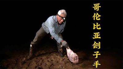 河中巨怪：新婚夫妇在亚马逊河边度蜜月，结果新娘被大鱼瞬间拖走-原创解说文案