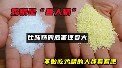 鸡精是“害人精”，比味精的危害还要大？不敢吃鸡精的人看看吧-吾爱原创解说文案
