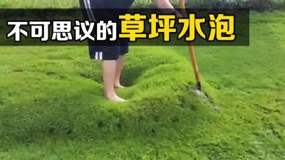 不可思议的“草坪水泡”，踩上去软软的，戳开后有趣的现象发生了-原创解说文案