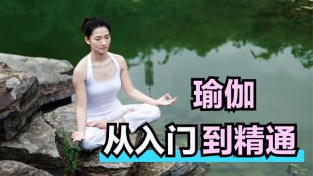 瑜伽入门视频-课程-网盘资源分享