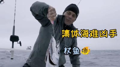 河中巨怪：二战时期著名的海难事件，真正的凶手原来是一群鱼！-原创解说文案