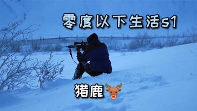零度以下的生活：小伙阿拉斯加生活十年，食物装备全靠打猎！-吾爱原创解说文案
