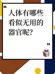 人体看似无用的器官有哪些