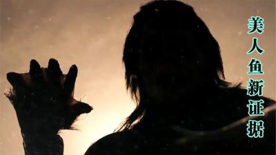 美人鱼：声纳仪器对海洋生物的危害有多大，美人鱼真的存在吗？-吾爱原创解说文案