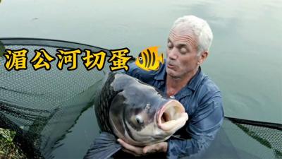河中巨怪：渔民不敢吃的剧毒小鱼，结果在湄公河中成可怕的杀手！-吾爱原创解说文案