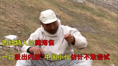 北极原始部落的神仙美食，海豹肚里腌海雀，中国小伙估计不敢尝试-原创解说文案