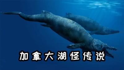 河中巨怪：加拿大水怪目击事件，杰叔抛竿上万次才找到真相！-原创解说文案
