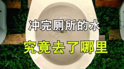 冲完厕所的水最后到底去哪了？-吾爱原创解说文案