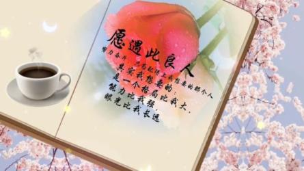 能赚钱的文案-课程-网盘资源分享