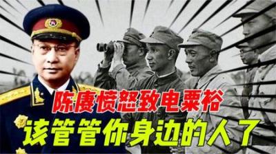 [视]陈赓愤怒致电正在疗养的总长粟裕：该管管你身边人，太没素质了！-原创解说文案