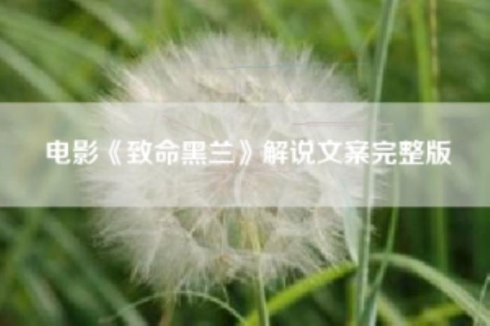 [原创][吾爱原创]电影《致命黑兰》解说文案完整版-[原创首发]-吾爱文案网