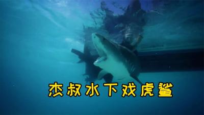 河中巨怪：天堂岛神秘蓝洞，经常出现巨型章鱼把人拖下水中吃掉！-吾爱原创解说文案