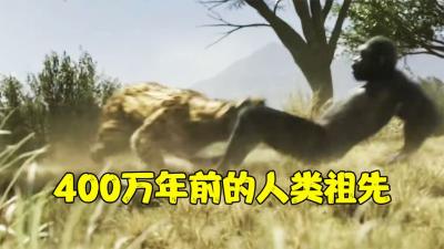 人类祖先400万前的生存状态，生活在树上，实行一夫一妻制-原创解说文案