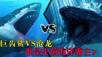 史前海洋可怕生物巨齿鲨和沧龙，若正面交锋，谁是最后的王者？-原创解说文案
