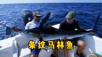 河中巨怪：亚马逊森林的恐怖传说，水妈妈会将人拖下水底不见踪影-原创解说文案