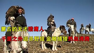 蒙古的天才驯鹰人，对野狼发布千里通缉令，金雕捕狼让人热血沸腾-原创解说文案