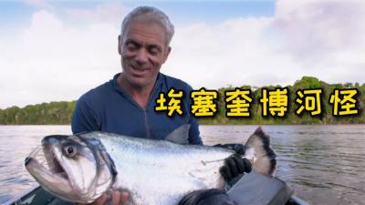 河中巨怪：杰叔耗时几个月探寻埃塞奎博河，巨型水怪！-原创解说文案