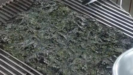 美食教学视频-课程-网盘资源分享