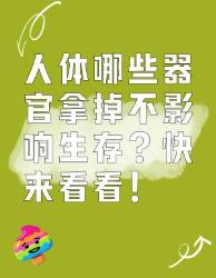 人体哪些器官拿掉不影响生存？