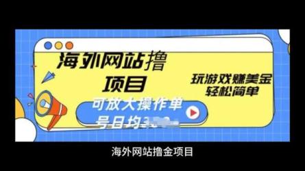最新国外赚美金项目，每月最少稳定低保4000+-课程-网盘资源分享