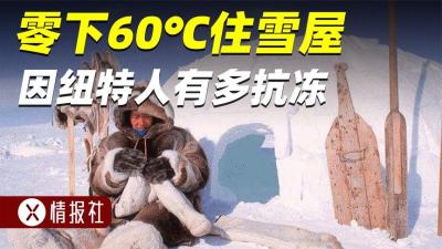 因纽特人的冬天如何度过？拿鹰爪加海豹油取暖，用鱼钩钓海豹生吃-原创解说文案