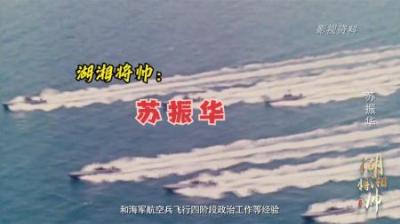 [视]59年苏振华被迫离婚，独自照顾6个孩子，毛主席：天涯何处无芳草-原创解说文案