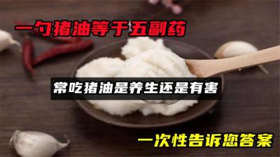 一勺猪油等于五副药？常吃猪油是养生还是有害？一次性告诉您答案-原创解说文案